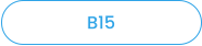 B15