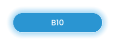 B10