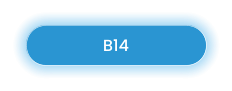 B14