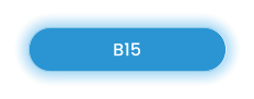 B15
